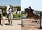 Chloe Burrage and Gracie Maw Claim Top Spot in this week's STX-UK Pony British Novice Second Round Competition